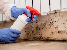 Best Mold Removal for HVAC Installations  in Clear Lake Shores, TX